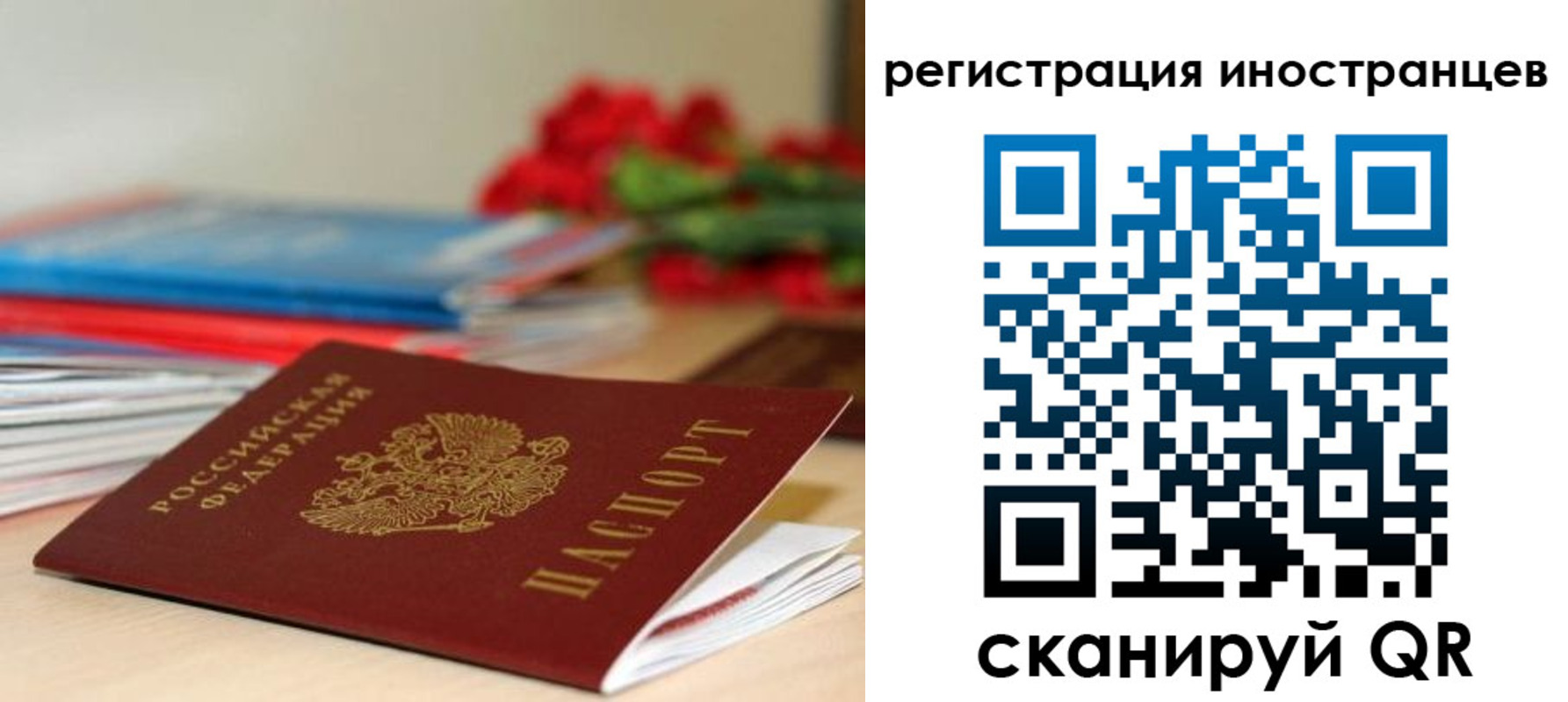 временная регистрация поиск в Ярославле